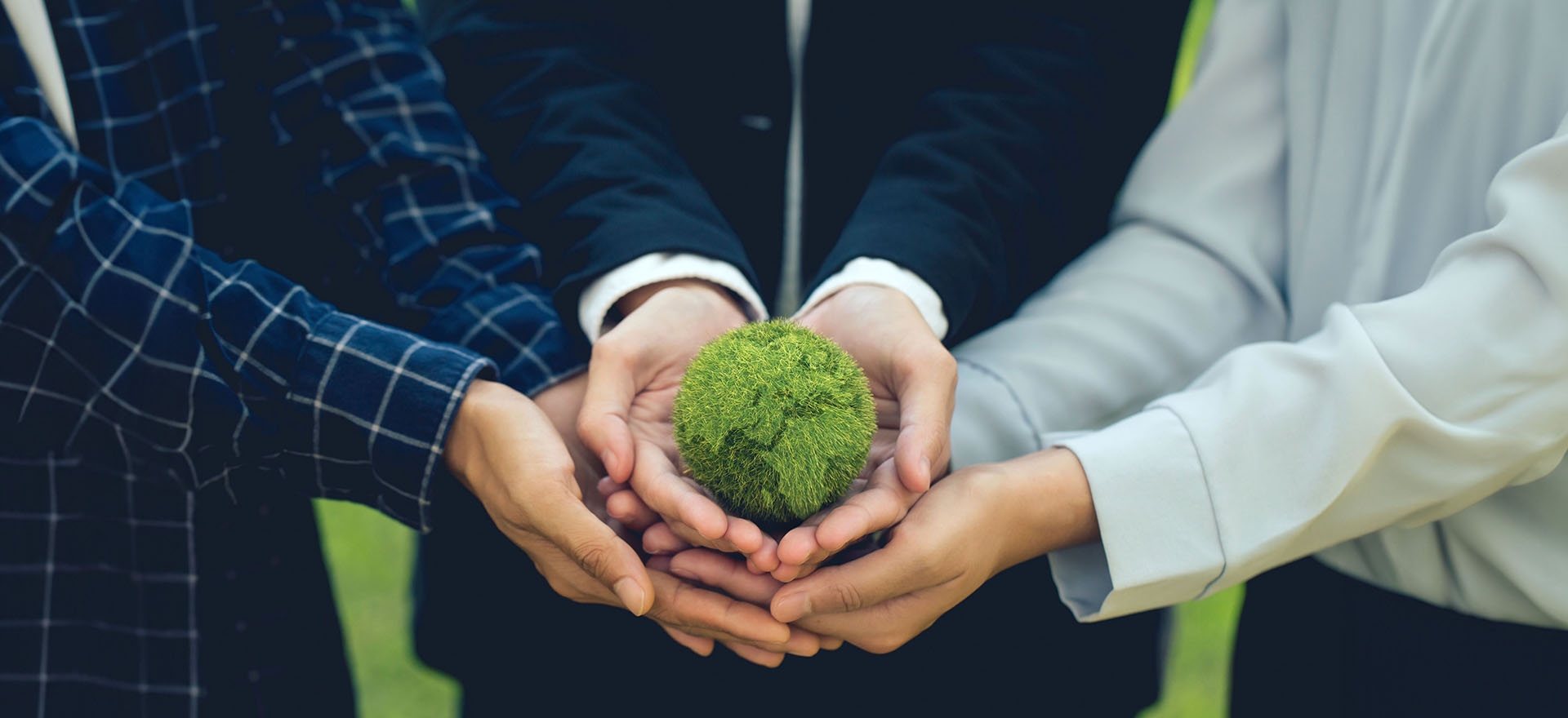 Green innovations shaping our sustainable future